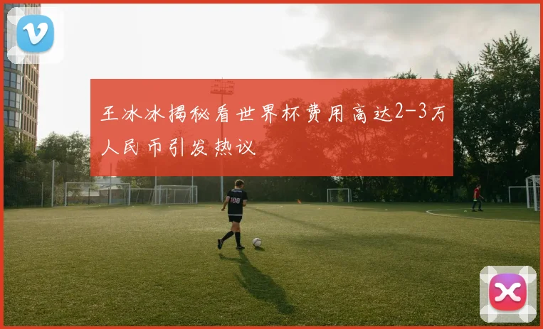 王冰冰揭秘看世界杯费用高达2-3万人民币引发热议